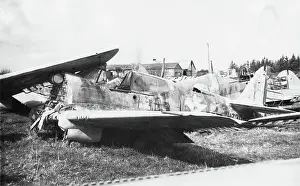 Warhawk: Curtiss P-40 Warhawk