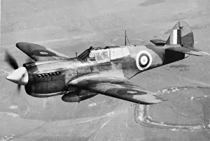 Warhawk: Curtiss P-40 Warhawk