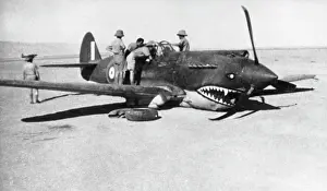 Warhawk: Curtiss P-40 Warhawk