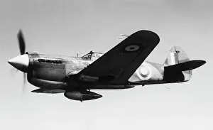 Warhawk: Curtiss P-40 Warhawk