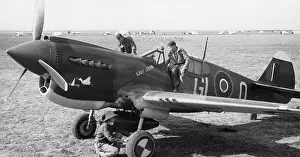 Warhawk: Curtiss P-40 Warhawk