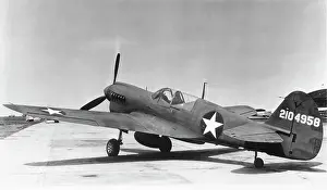 Warhawk: Curtiss P-40 Warhawk