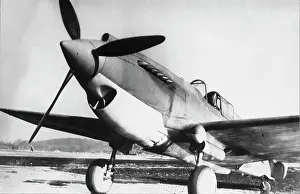 Warhawk: Curtiss P-40 Warhawk