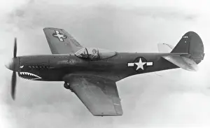 Warhawk: Curtiss P-40 Warhawk