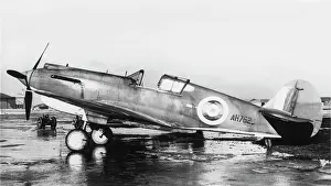 Warhawk: Curtiss P-40 Warhawk