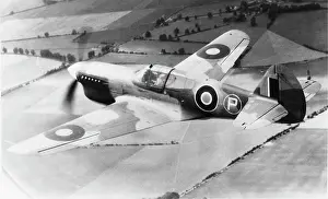 Warhawk: Curtiss P-40 Warhawk