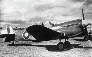 Warhawk: Curtiss P-40 Warhawk