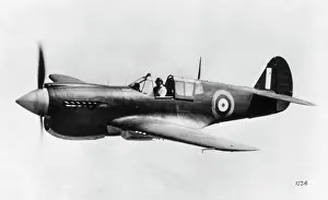 Warhawk: Curtiss P-40 Warhawk