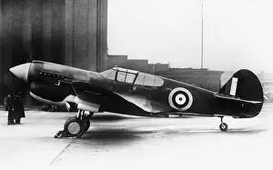 Warhawk: Curtiss P-40 Warhawk
