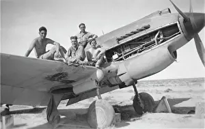 Warhawk: Curtiss P-40 Warhawk