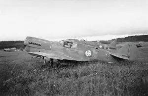 Warhawk: Curtiss P-40 Warhawk