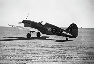 Warhawk: Curtiss P-40 Warhawk