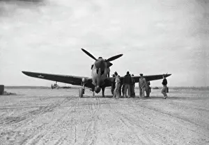 Warhawk: Curtiss P-40 Warhawk