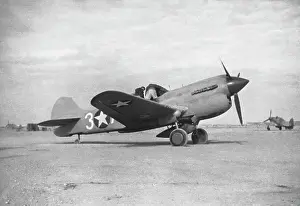Warhawk: Curtiss P-40 Warhawk