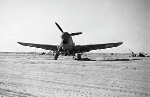Warhawk: Curtiss P-40 Warhawk