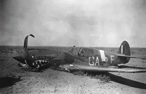 Warhawk: Curtiss P-40 Warhawk