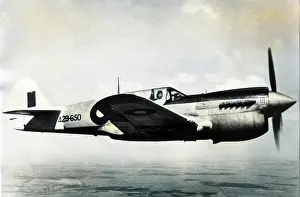 Boomerang: Curtiss P-40N Kittyhawk IV -these progressively replace?