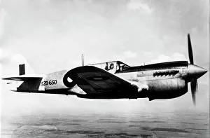 Boomerang: Curtiss P-40N Kittyhawk IV -these progressively replace