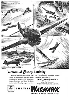 Kittyhawk: Curtiss-Wright Kittyhawk - Warhawk