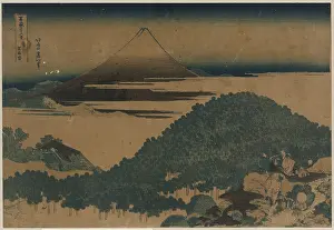 Bluff: The cushion pine at Aoyama