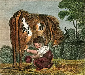Thee: CUSHY COW BONNY