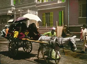 Bridles: Customary cart