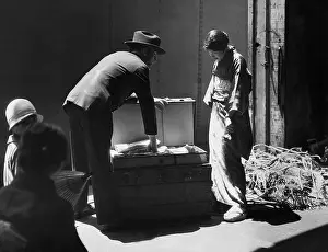 Yusen: Customs control at a Japanese immigrant, 1930