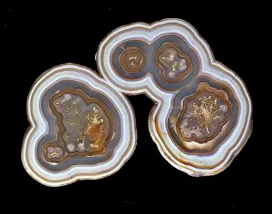 Polished: Agate