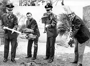 Millers: Cut of the spade for Hawaii copy in Berlin