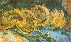 Closely: Four Cut Sunflowers, by Van Gogh