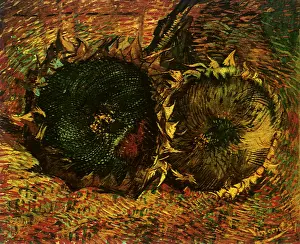 Lifes: Two Cut Sunflowers, by Van Gogh