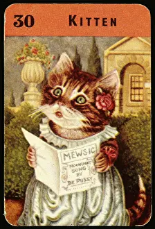 Witty: Cute kitten singing Mewsic