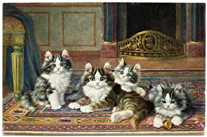 Grate: Cute kittens on a patterned rug