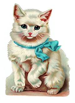 Cute white cat on a Victorian scrap