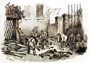 Woodyard: CUTTING FIREWOOD
