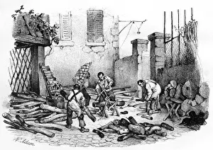 Woodyard: CUTTING FIREWOOD