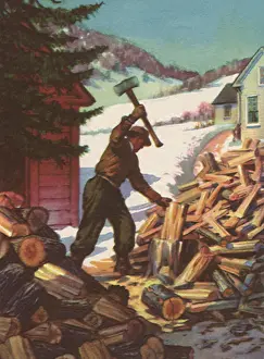 Cords: Cutting Firewood