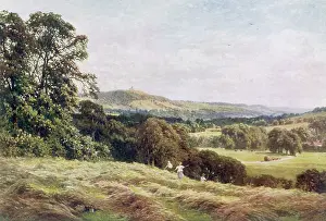 Wonersh: Cutting the Hay