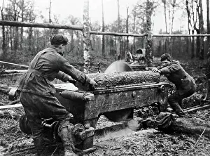 Pickles: Cutting log at new sawmill, Western Front, WW1
