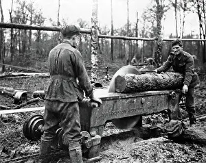 Pickles: Cutting log at new sawmill, Western Front, WW1