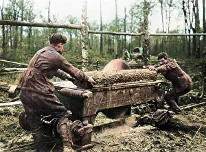 Pickles: Cutting log at new sawmill, Western Front, WW1