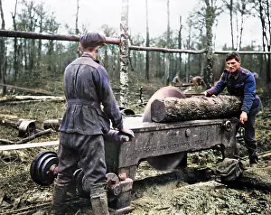 Pickles: Cutting log at new sawmill, Western Front, WW1