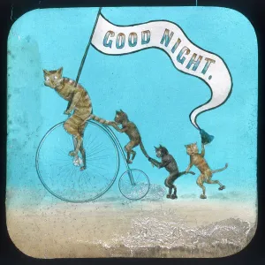 Farthing: CYCLING CATS GOOD NIGHT