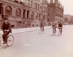 Boughs: Cycling in New York