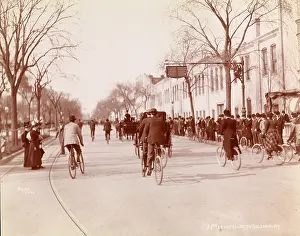 Crowed: Cyclists in New York