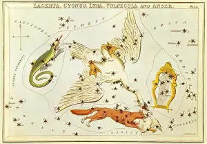 Adjacent: Cygnus Constellation