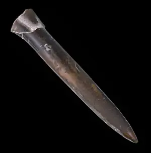Elongated: Cylindroteuthis oweni Pratt, thunderbolt