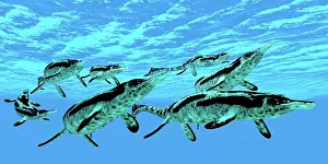 Ichthyosaur: Cymbospondylus ichthyosaurs swim together in a pod ?