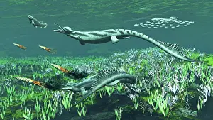 Hungry: Cymbospondylus, a very large and early Triassic ichthyosaur