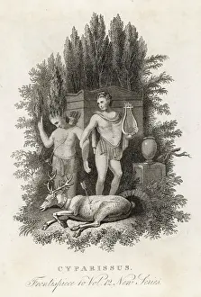 Remorse: Cyparissus